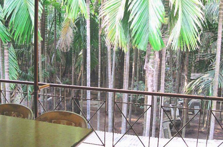 Somkrupa Cottage, Alibaug 4